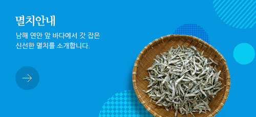 멸치안내
